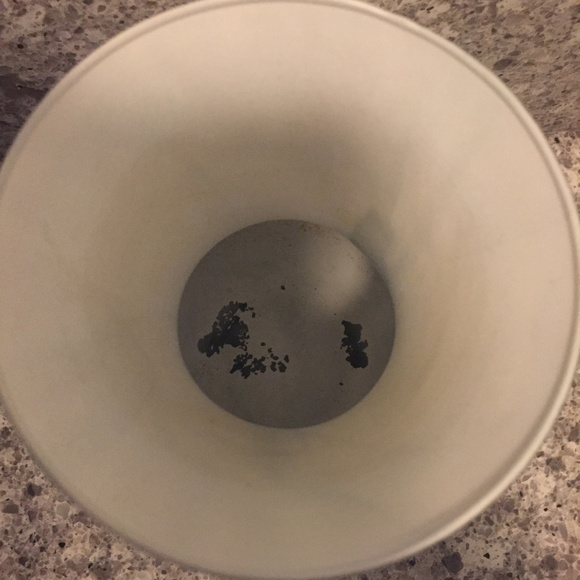 π€ A Vase with Main Character Energy π€ Serving Looks AND Stems πΊπΌπ - Picture 3 of 6